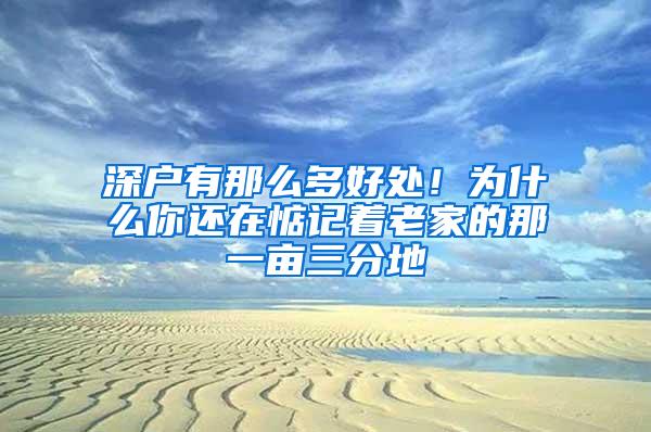 深户有那么多好处！为什么你还在惦记着老家的那一亩三分地