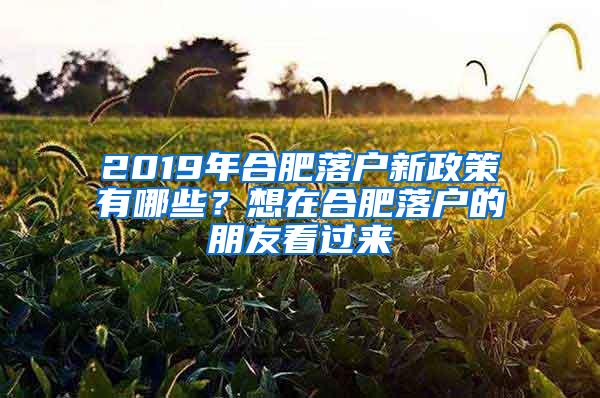 2019年合肥落户新政策有哪些？想在合肥落户的朋友看过来