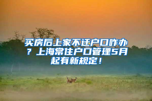 买房后上家不迁户口咋办？上海常住户口管理5月起有新规定！