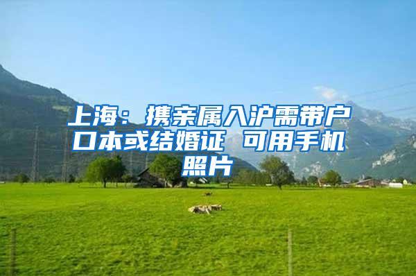 上海：携亲属入沪需带户口本或结婚证 可用手机照片
