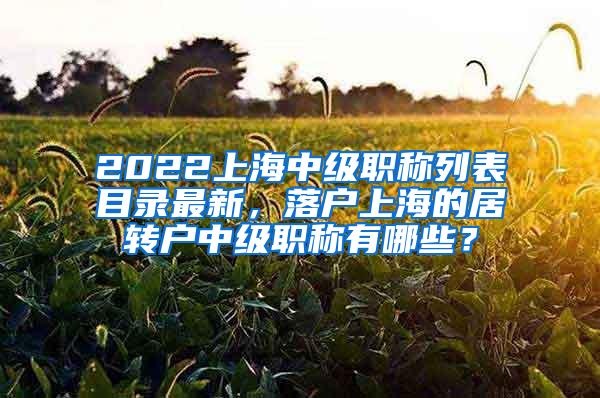 2022上海中级职称列表目录最新，落户上海的居转户中级职称有哪些？