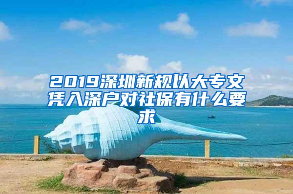 2019深圳新规以大专文凭入深户对社保有什么要求