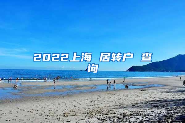 2022上海 居转户 查询