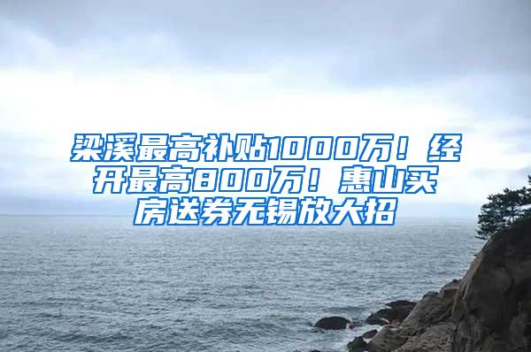 梁溪最高补贴1000万！经开最高800万！惠山买房送券无锡放大招