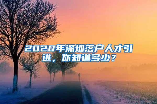 2020年深圳落户人才引进，你知道多少？