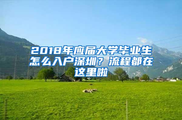 2018年应届大学毕业生怎么入户深圳？流程都在这里啦