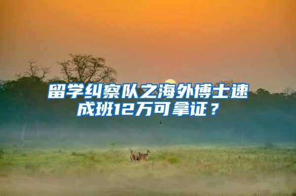 留学纠察队之海外博士速成班12万可拿证？