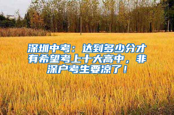 深圳中考：达到多少分才有希望考上十大高中，非深户考生要凉了！
