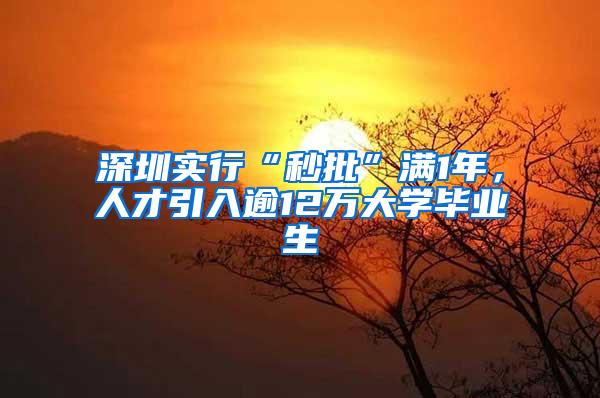 深圳实行“秒批”满1年，人才引入逾12万大学毕业生