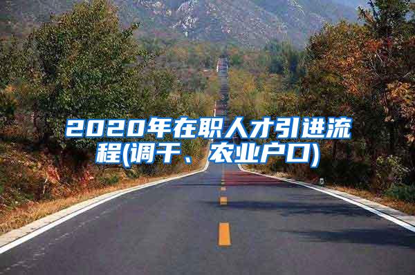 2020年在职人才引进流程(调干、农业户口)
