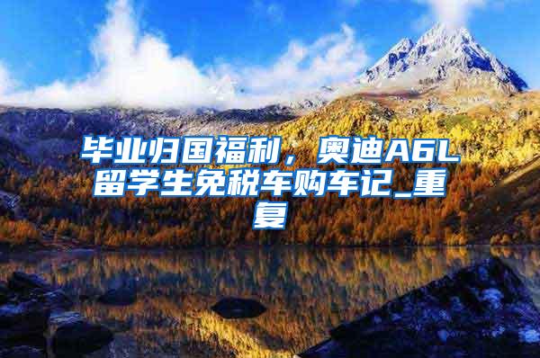 毕业归国福利，奥迪A6L留学生免税车购车记_重复