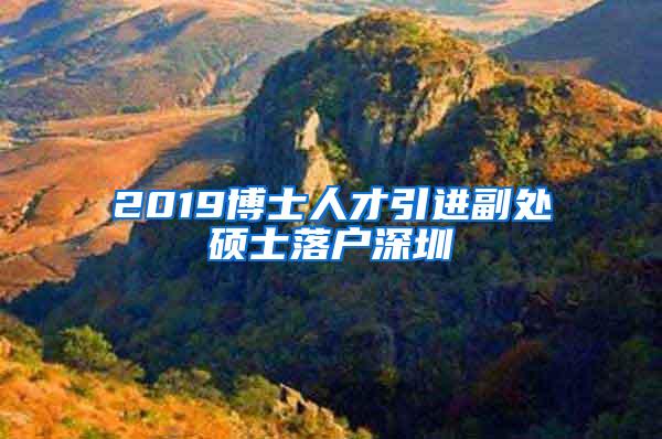2019博士人才引进副处硕士落户深圳