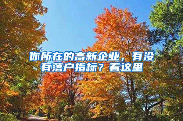 你所在的高新企业，有没有落户指标？看这里