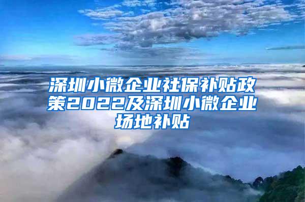 深圳小微企业社保补贴政策2022及深圳小微企业场地补贴