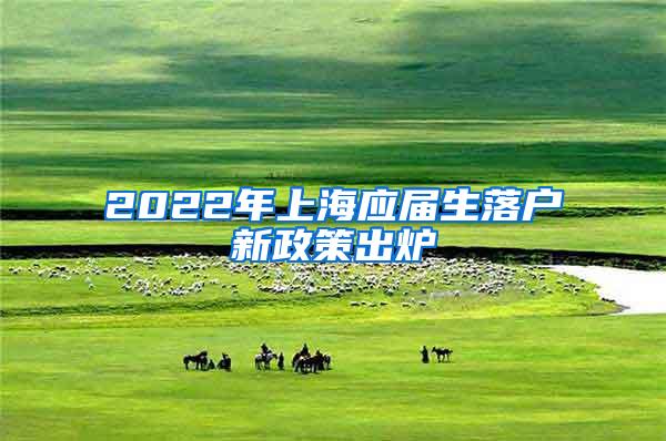 2022年上海应届生落户新政策出炉
