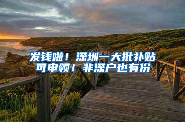 发钱啦！深圳一大批补贴可申领！非深户也有份