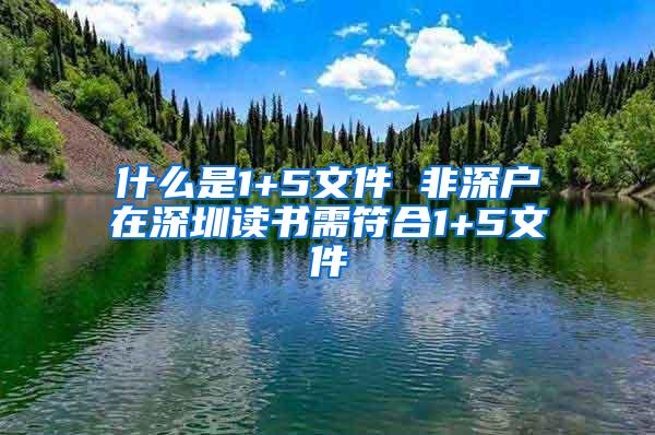 什么是1+5文件 非深户在深圳读书需符合1+5文件