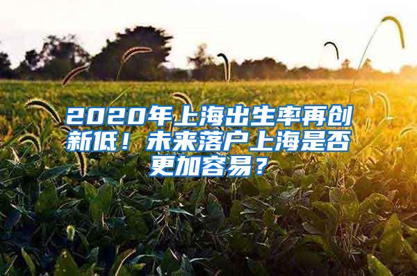 2020年上海出生率再创新低！未来落户上海是否更加容易？