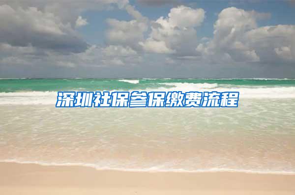 深圳社保参保缴费流程