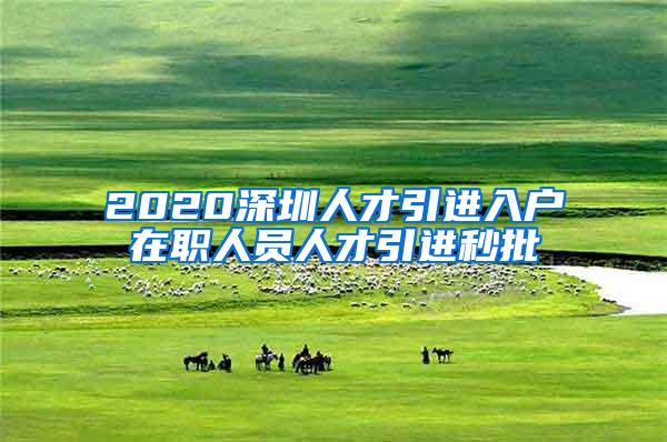 2020深圳人才引进入户在职人员人才引进秒批
