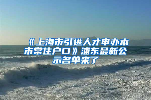 《上海市引进人才申办本市常住户口》浦东最新公示名单来了