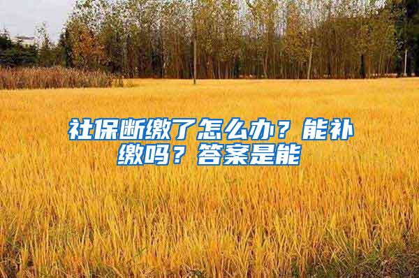 社保断缴了怎么办？能补缴吗？答案是能