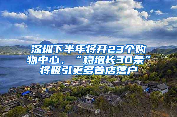 深圳下半年将开23个购物中心，“稳增长30条”将吸引更多首店落户