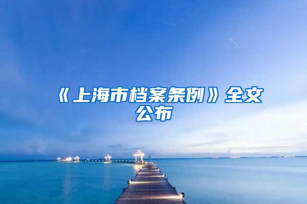 《上海市档案条例》全文公布