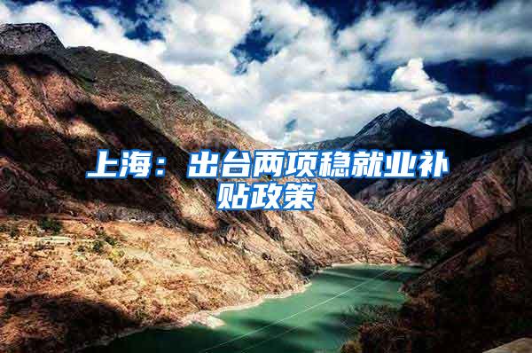 上海：出台两项稳就业补贴政策
