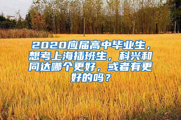 2020应届高中毕业生，想考上海插班生，科兴和同达哪个更好，或者有更好的吗？