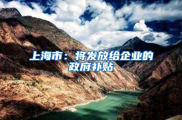 上海市：将发放给企业的政府补贴