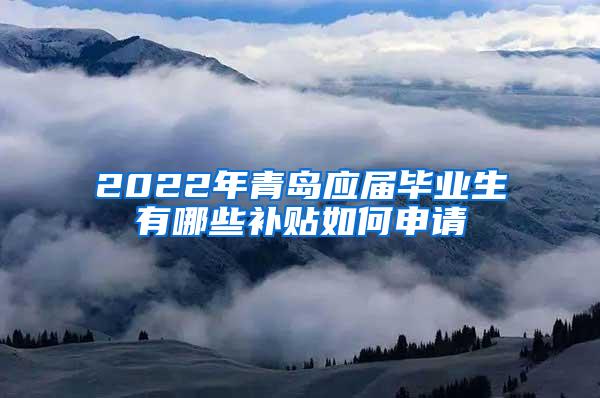 2022年青岛应届毕业生有哪些补贴如何申请