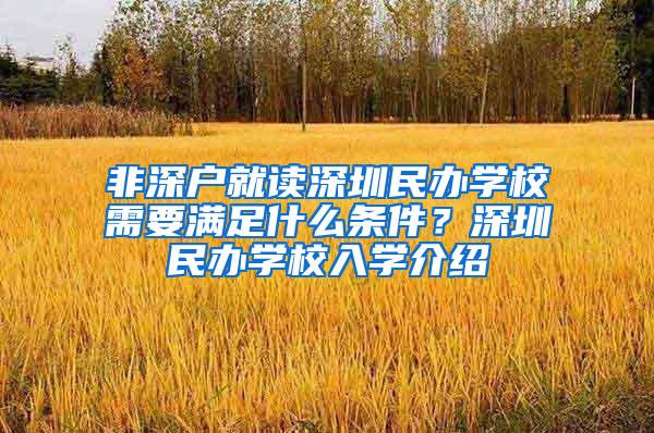 非深户就读深圳民办学校需要满足什么条件？深圳民办学校入学介绍