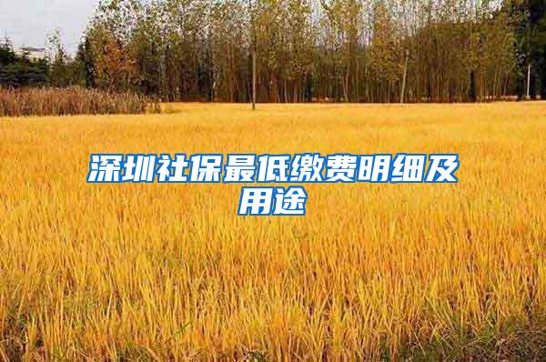 深圳社保最低缴费明细及用途