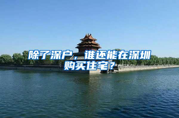 除了深户，谁还能在深圳购买住宅？