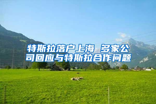 特斯拉落户上海 多家公司回应与特斯拉合作问题