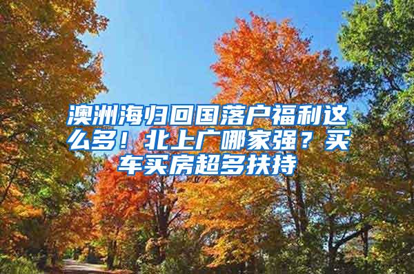 澳洲海归回国落户福利这么多！北上广哪家强？买车买房超多扶持