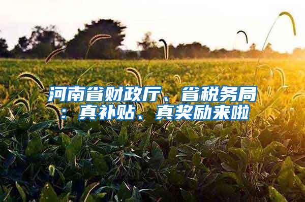 河南省财政厅、省税务局：真补贴、真奖励来啦
