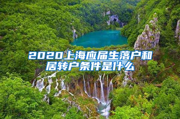 2020上海应届生落户和居转户条件是什么