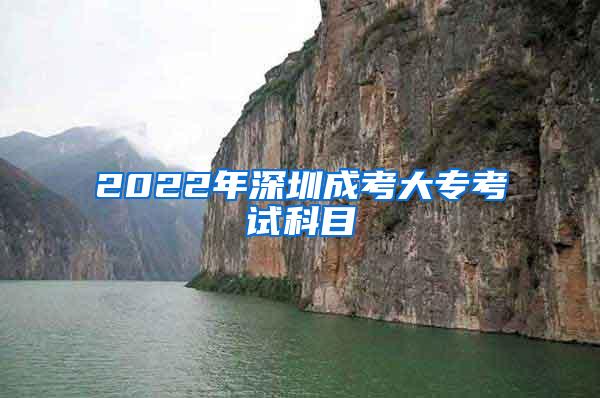 2022年深圳成考大专考试科目
