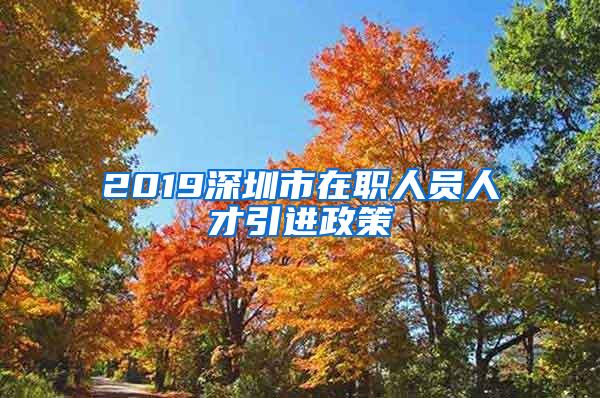 2019深圳市在职人员人才引进政策