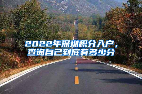 2022年深圳积分入户，查询自己到底有多少分