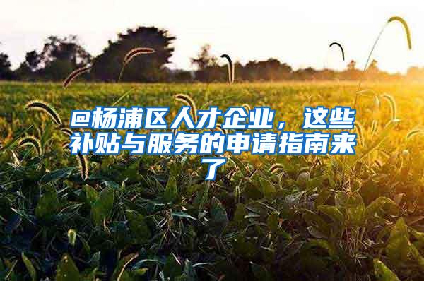 @杨浦区人才企业，这些补贴与服务的申请指南来了