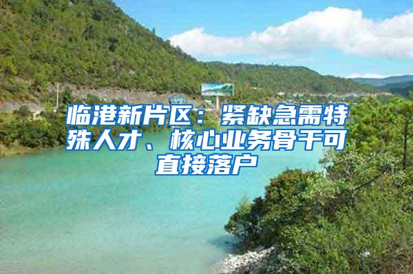 临港新片区：紧缺急需特殊人才、核心业务骨干可直接落户