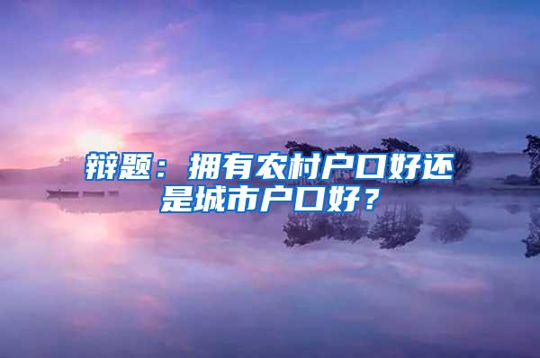 辩题：拥有农村户口好还是城市户口好？