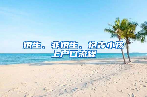 婚生、非婚生、抱养小孩上户口流程