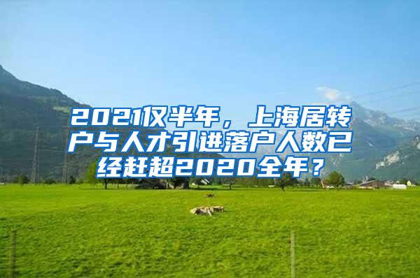 2021仅半年，上海居转户与人才引进落户人数已经赶超2020全年？