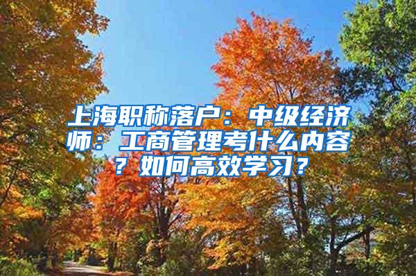 上海职称落户：中级经济师：工商管理考什么内容？如何高效学习？