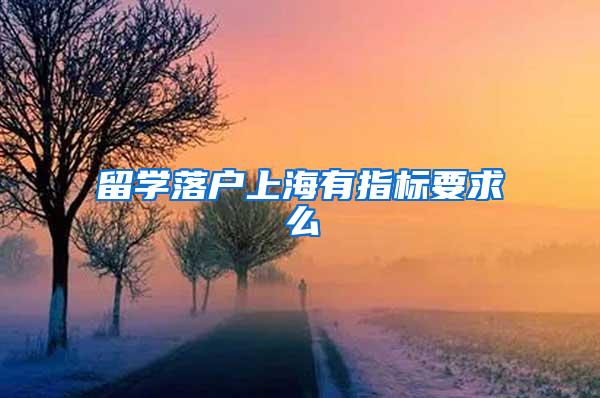 留学落户上海有指标要求么