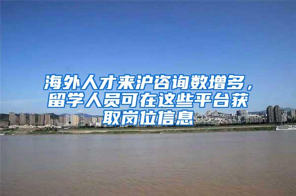 海外人才来沪咨询数增多，留学人员可在这些平台获取岗位信息